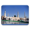 mousqs APK