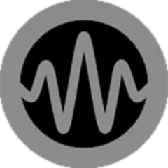 EMP Meter