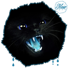 🐱😸🐱 meow Black & white Cat Wallpaper kitty 🐱🐱 icon