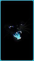 🐱😸🐱 meow Black & white Cat Wallpaper kitty 🐱🐱 screenshot 2