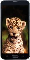 Amazing HD Jaguar Wallpapers - Cougar capture d'écran 1