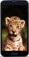 Amazing HD Jaguar Wallpapers 截图 1