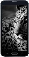 Amazing HD Jaguar Wallpapers 截图 2