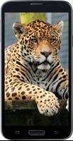 Amazing HD Jaguar Wallpapers 截图 3