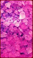 HD Beautiful Pink Wallpapers - Rose 스크린샷 2