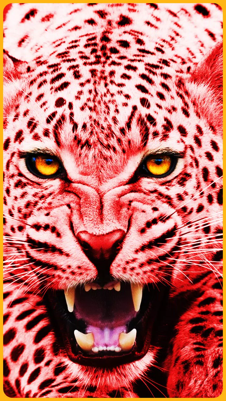 HD Colorful Tiger Wallpapers - Jaguar APK voor Android Download