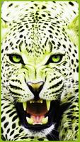 HD Colorful Tiger Wallpapers - Jaguar Screenshot 1