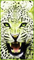 HD Colorful Tiger Wallpapers - Jaguar screenshot 1