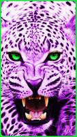 HD Colorful Tiger Wallpapers - Jaguar screenshot 2