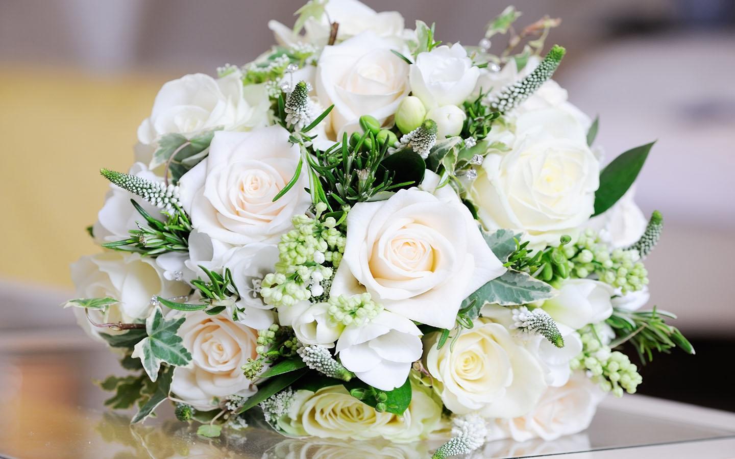 Android 用の White Rose Wallpaper Apk をダウンロード Android 用の White Rose Wallpaper Apk をダウンロード