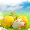 ”Easter Egg Wallpaper