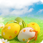 Easter Egg Wallpaper آئیکن