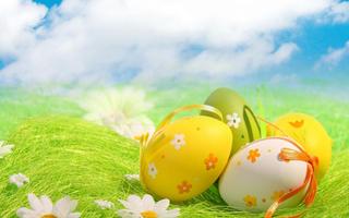 Easter Egg Wallpaper اسکرین شاٹ 1