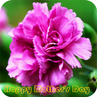 Happy Mother's Day Wallpaper icon