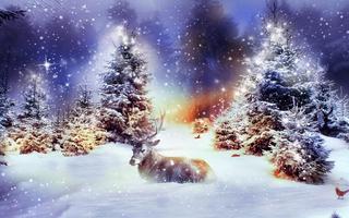 Winter Christmas Wallpaper ภาพหน้าจอ 2