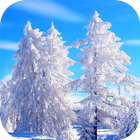 Winter Snow Wallpaper biểu tượng