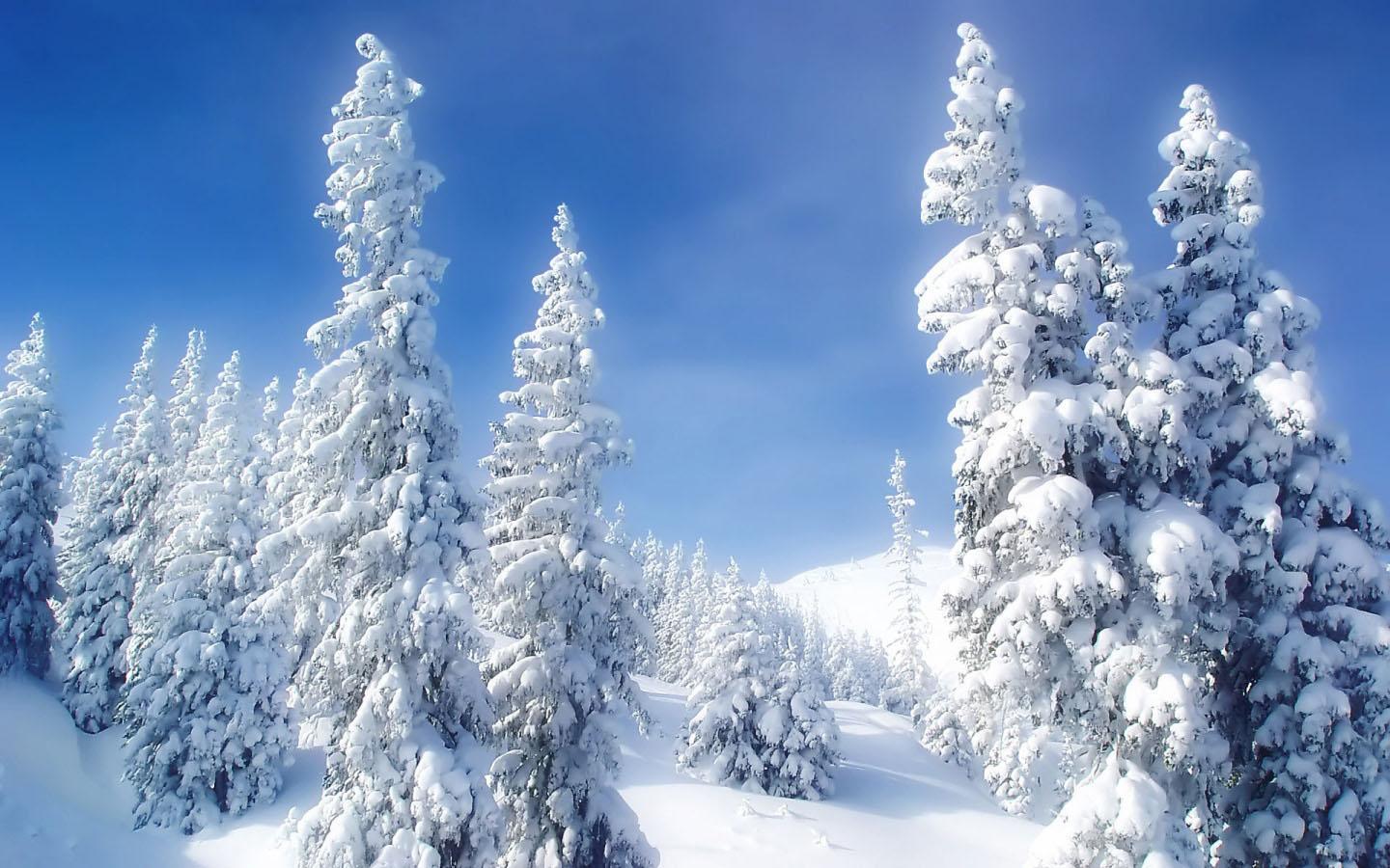 Winter Snow Wallpaper APK pour Android Télécharger Winter Snow Wallpaper APK pour Android Télécharger