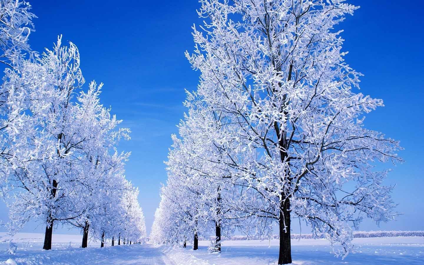 Winter Snow Wallpaper For Android Apk Download - roblox winter background
