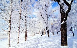 2 Schermata Winter Snow Wallpaper