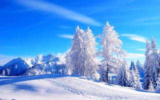 3 Schermata Winter Snow Wallpaper
