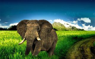 Elephant Wallpapers captura de pantalla 2