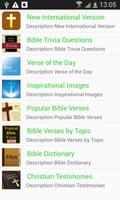 NIV Holy Bible ポスター