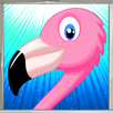 Birds Coloring Book APK