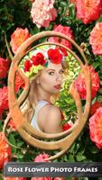 fleur rose cadres photo Affiche
