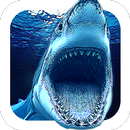 Angry Shark Evo APK