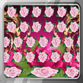 Rose Keyboards