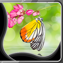 Schmetterling Live Wallpaper APK