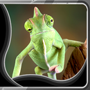 APK Chameleon live wallpapers