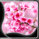 Sakura Live Wallpapers APK