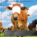 الحيوانات صورة وجه المونتاج APK
