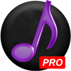 Best Music Download Pro icône