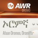 APK AWR Oromo Radio