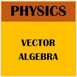 Physics Vectors and Vector Alg icône