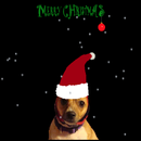 Santa Dog Live Wallpaper APK