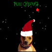 Santa Dog Live Wallpaper