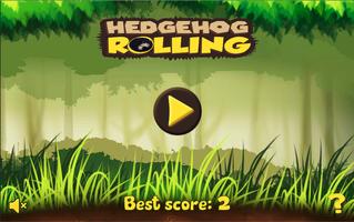 Sonic Hedgehog Rolling screenshot 1