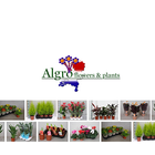 Algro Flower Shop icône