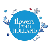 Flowers from Holland icône