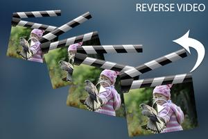 Reverse Video اسکرین شاٹ 2