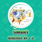 Smart Biologi SMA XI ícone