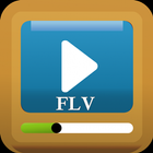 FLV Player -Flash File Manager 圖標