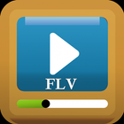 FLV Player -Flash File Manager icône