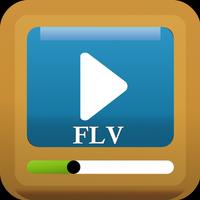 FLV Player -Flash File Manager 스크린샷 1