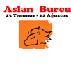 Aslan Burcu Yorumlar - Fal APK