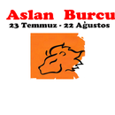 Aslan Burcu Yorumlar - Fal APK