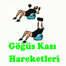 Göğüs Kası Hareketleri APK